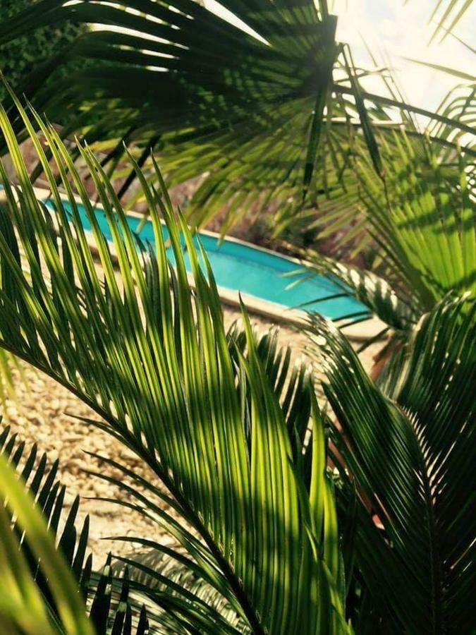 Apartmanovy Dom Red Ξενοδοχείο Podhájska Εξωτερικό φωτογραφία